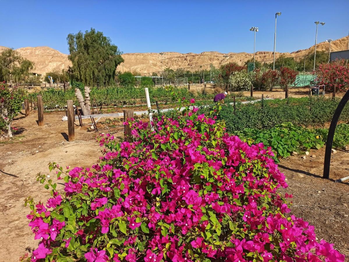 Kibbutz Ketura Guest House Nahal Ya'alon Екстериор снимка