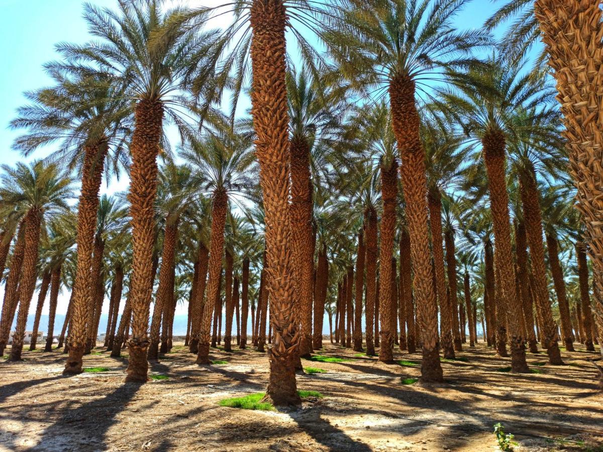 Kibbutz Ketura Guest House Nahal Ya'alon Екстериор снимка